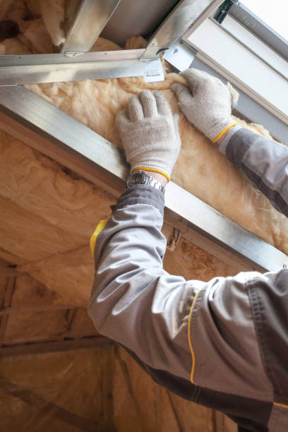 Best Commercial Insulation in Hudson, TX