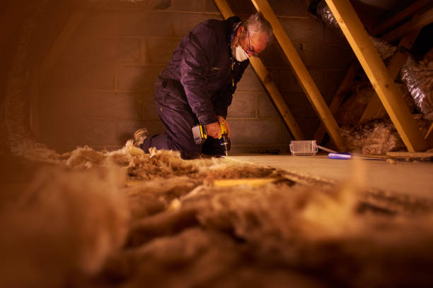 Best Eco-Friendly Insulation in Hudson, TX